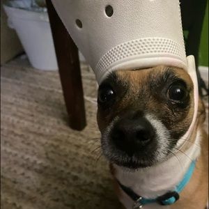 Meet your Posher, Bryan